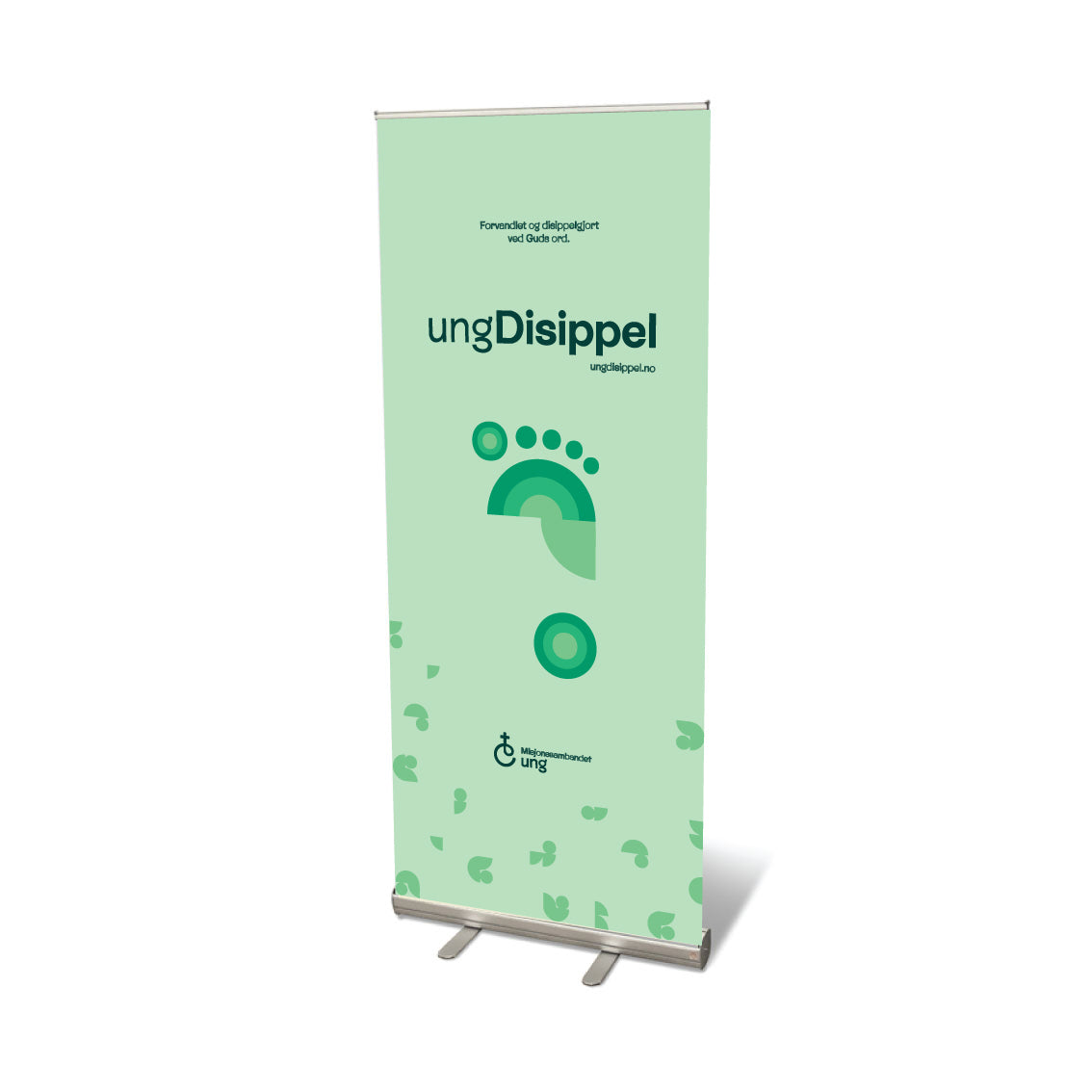 Rollup - Ung Disippel