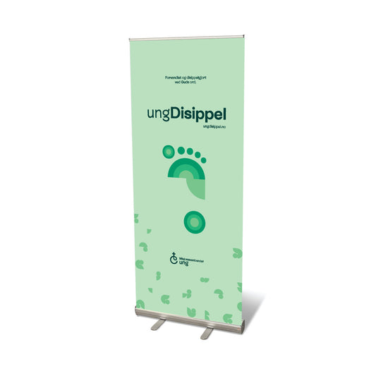 Rollup - Ung Disippel